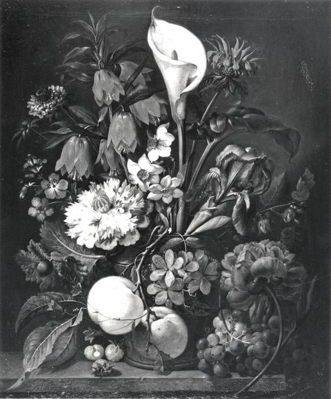 A. C. Cooper — Mayrhofer Johann Nepomuk - sec. XVIII/ XIX - Natura morta con vaso di fiori — insieme
